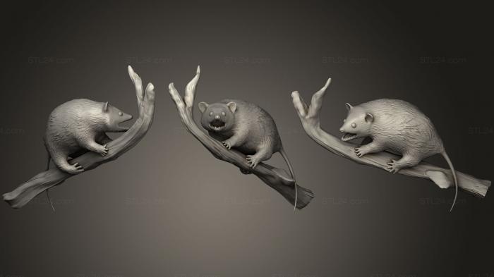 Статуэтки животных (Опоссум На ветке, STKJ_1222) 3D модель для ЧПУ станка